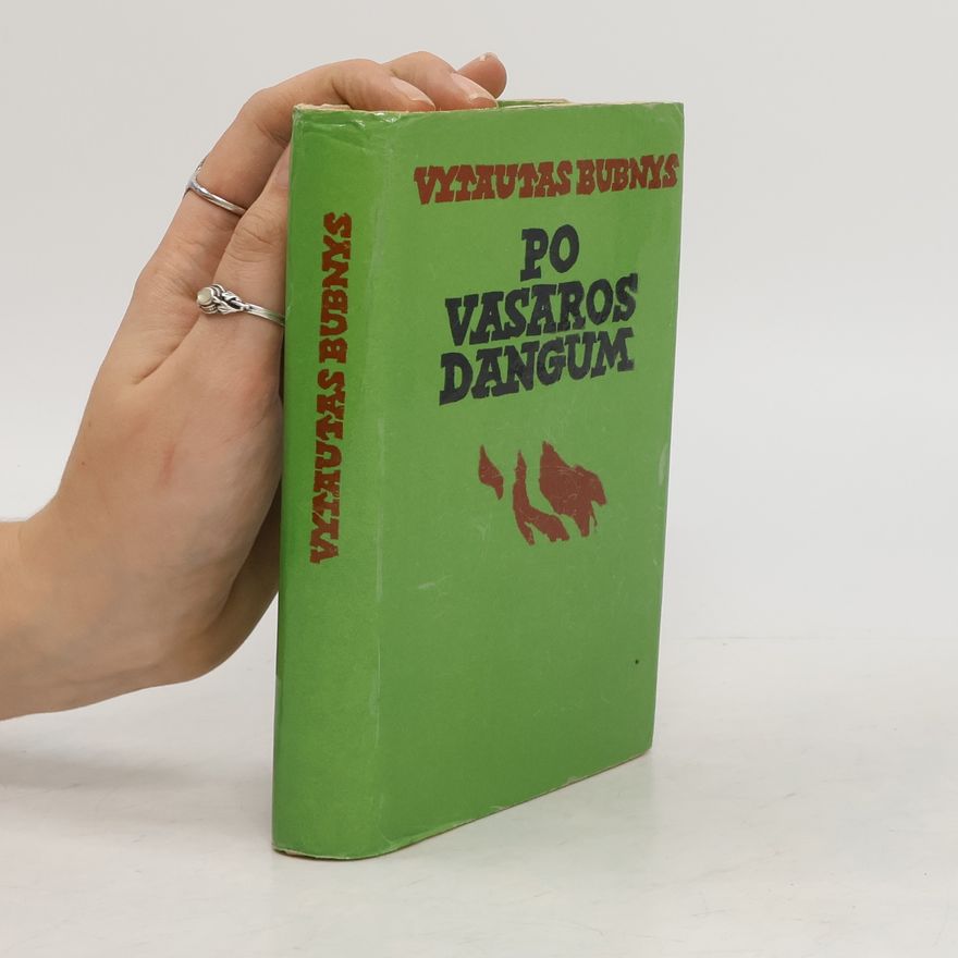 Vytautas Bubnys Po vasaros dangum