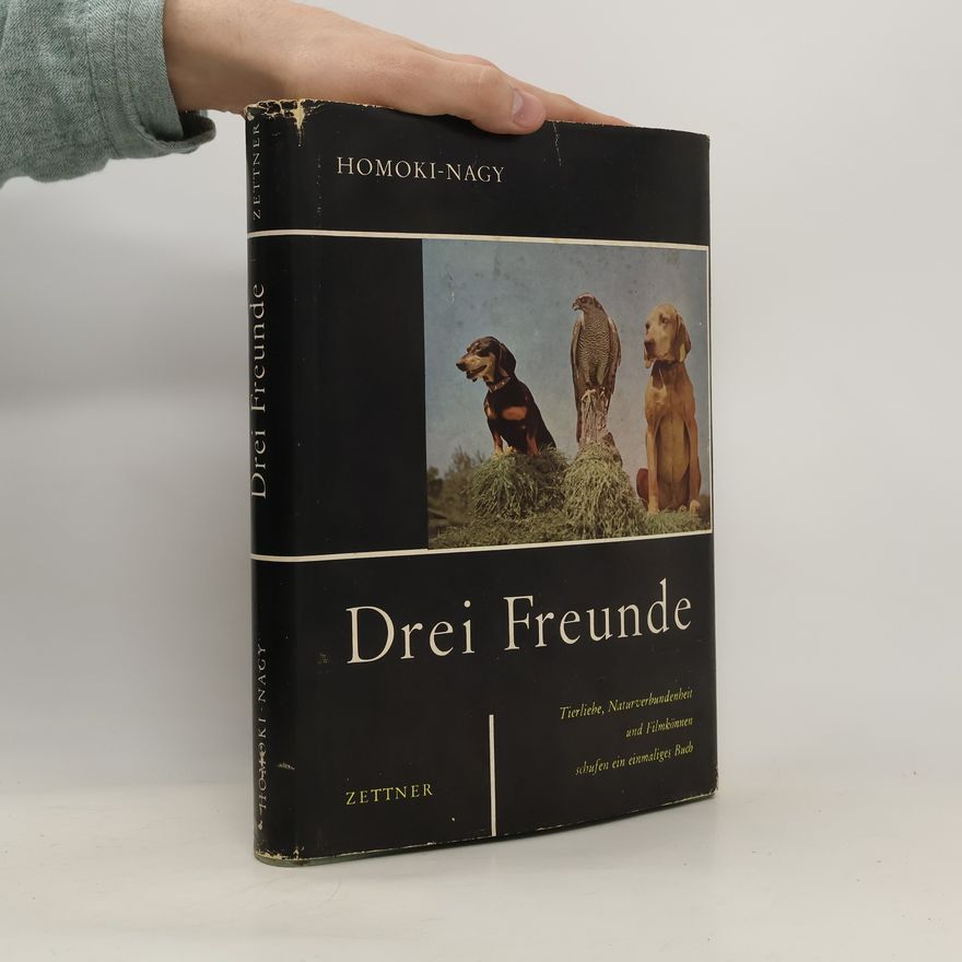 István Homoki-Nagy Drei Freunde