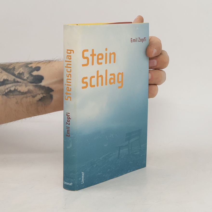 Emil Zopfi Steinschlag