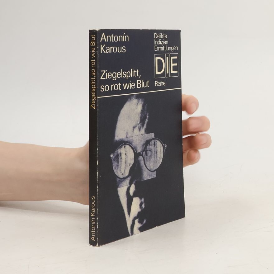 Kolektiv autorů DIE Reihe - Ziegelsplitt, so rot wie Blut