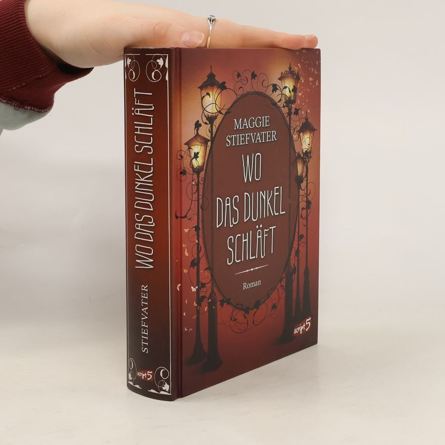 Maggie Stiefvater Wo das Dunkel schläft (Band 4)