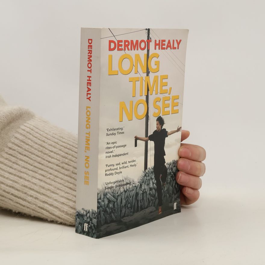 Dermot Healy Long Time, No See