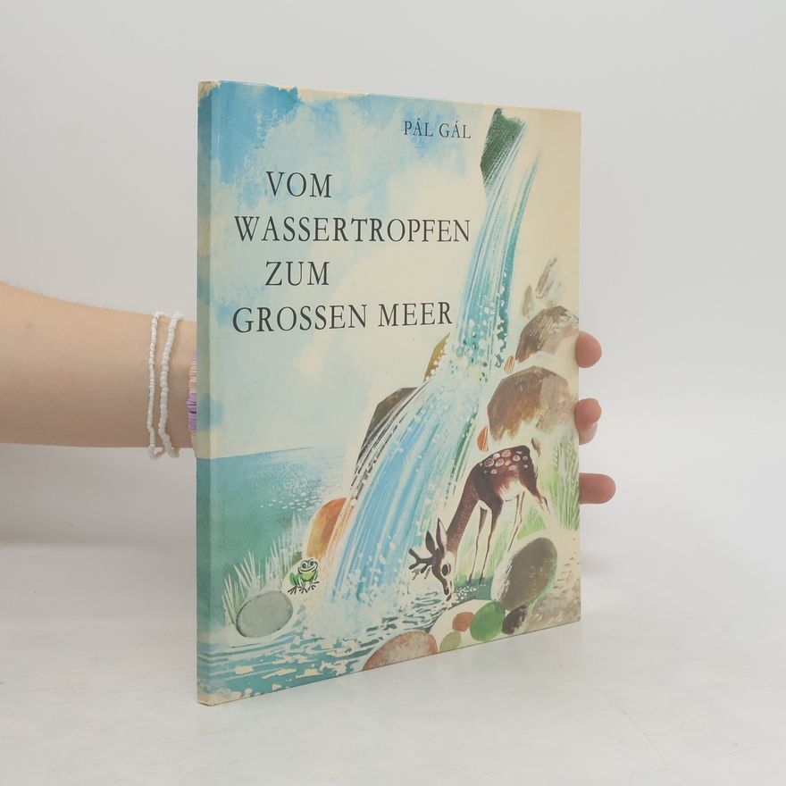 Pál Gál Vom Wassertropfen zum grossen Meer