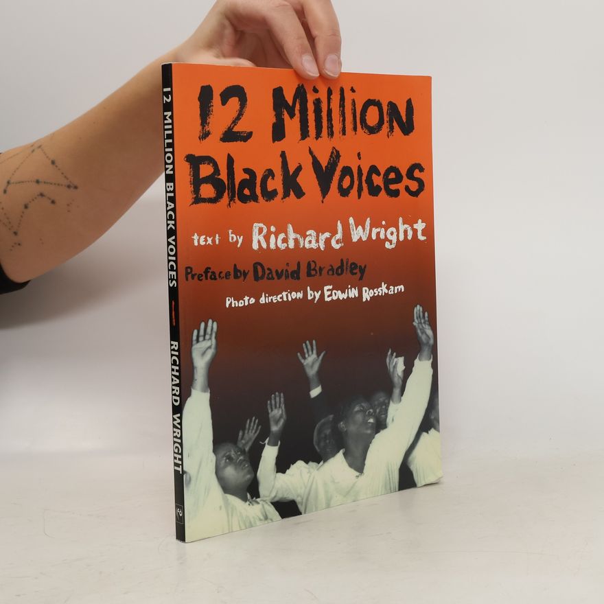 Edwin Rosskam Twelve Million Black Voices