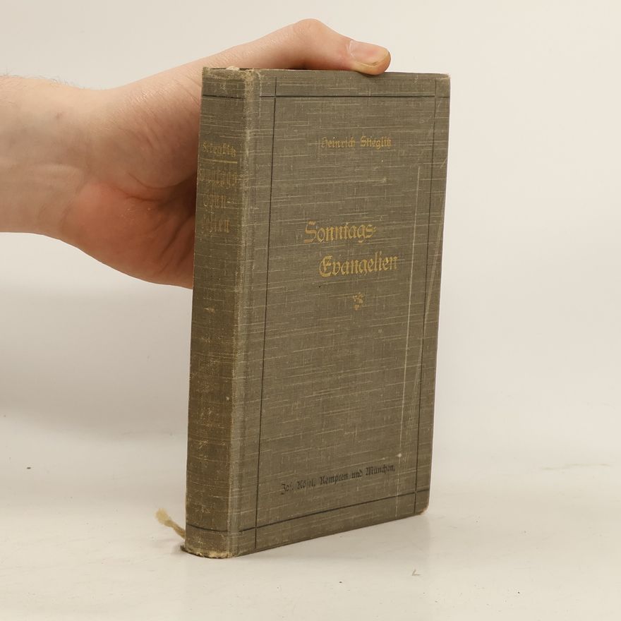 Heinrich Stieglitz Sonntags Evangelien