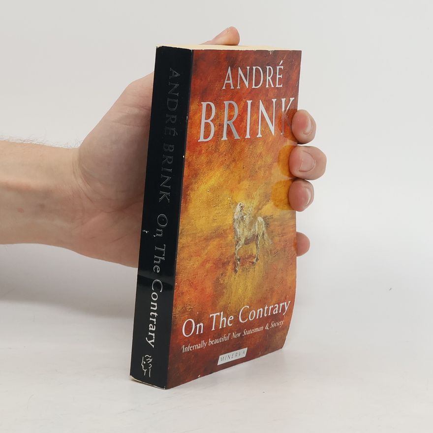 André Brink On the Contrary