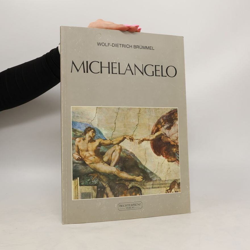 Michelangelo Michelangelo