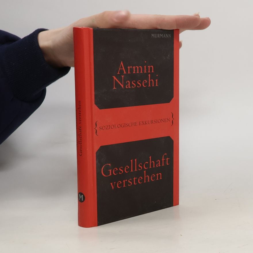 Armin Nassehi Gesellschaft verstehen