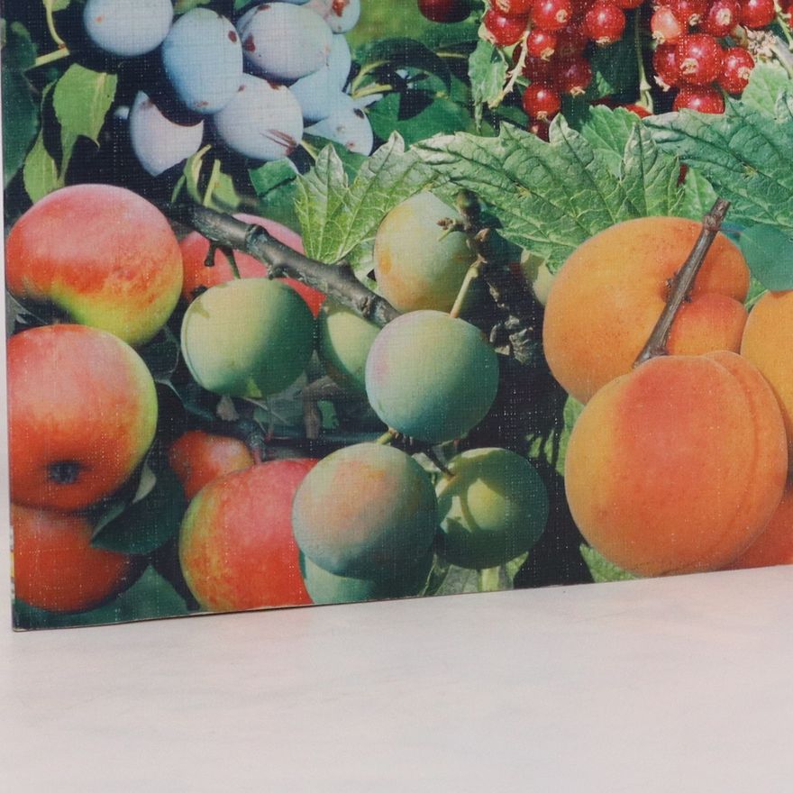Gunther Herr Welches Obst für meinen Garten?
