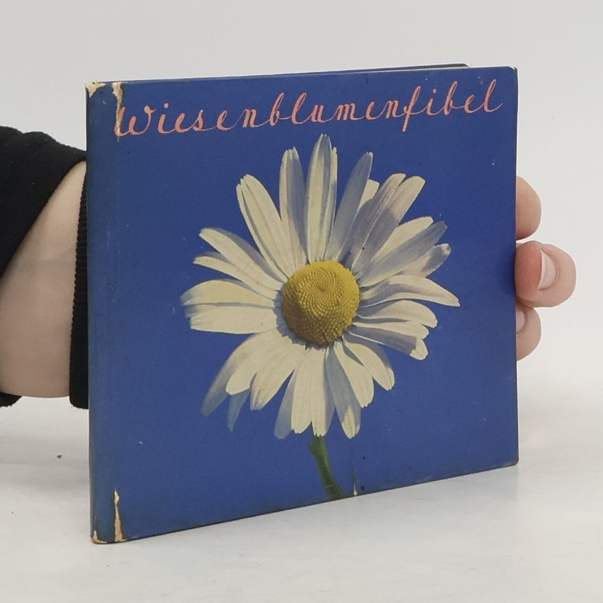 Autorenkollektiv Wiesenblumenfibel