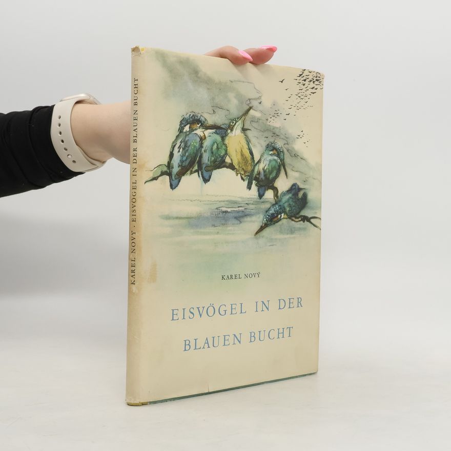 Karel Nový Eisvögel in der blauen Bucht