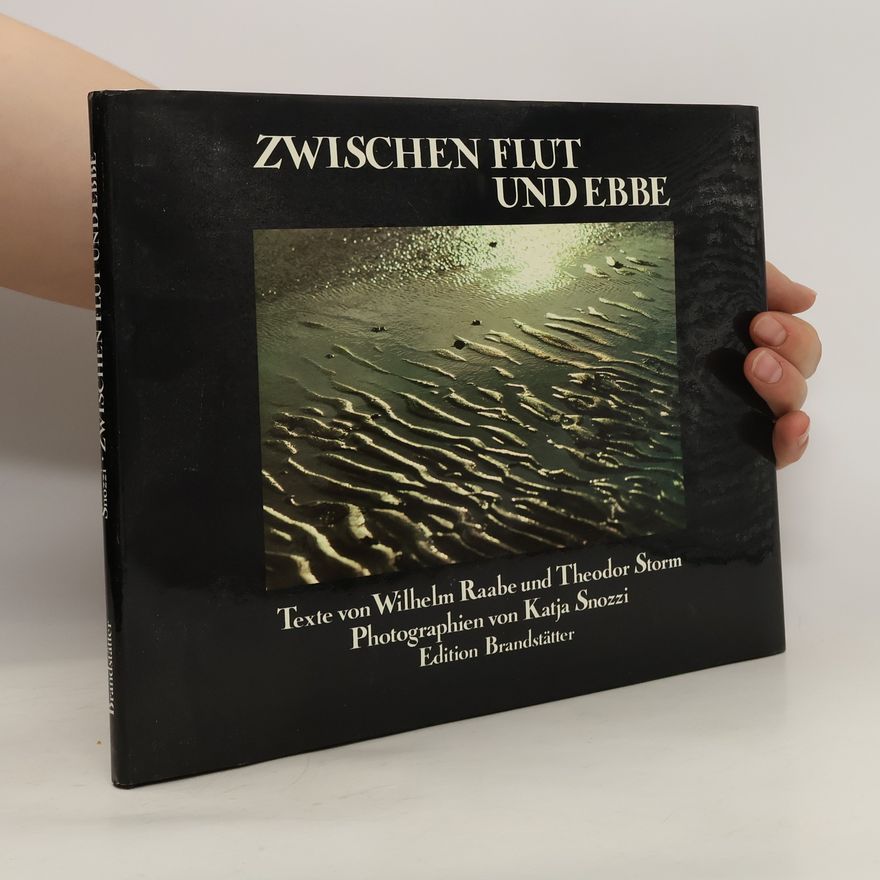 Katja Snozzi Zwischen Flut und Ebbe