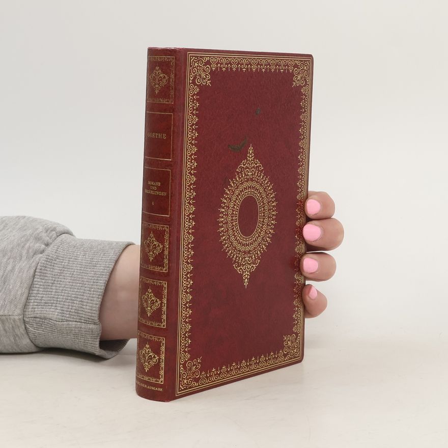 Johann Wolfgang von Goethe Romane und Erzählungen 6