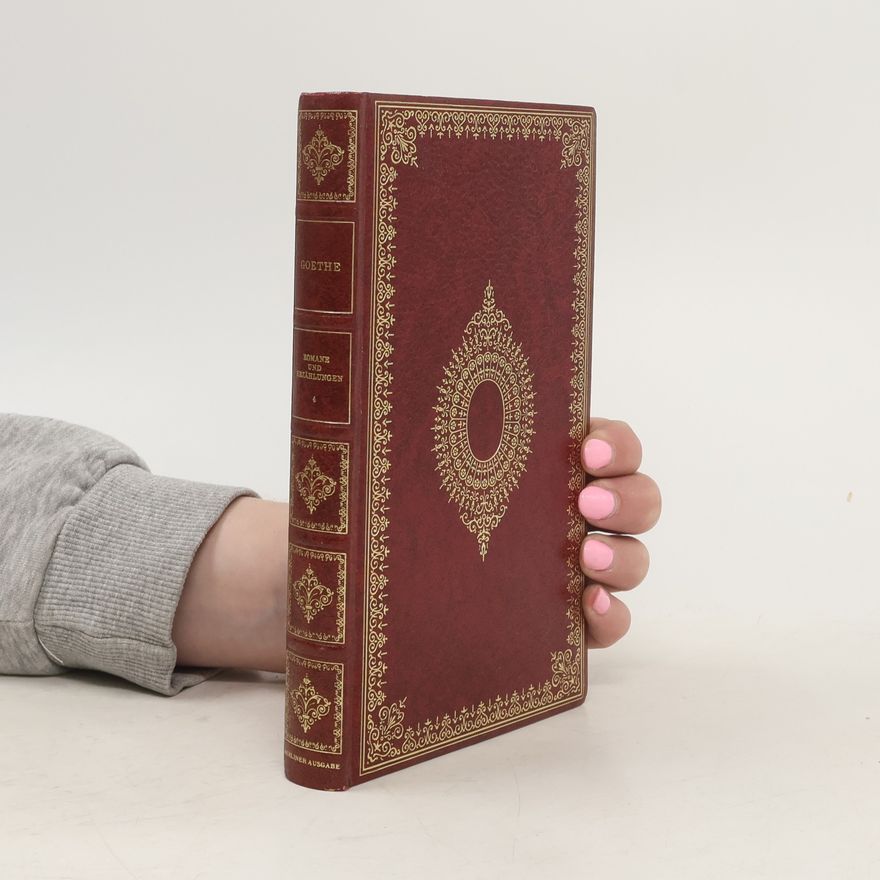 Johann Wolfgang von Goethe Romane und Erzählungen 4