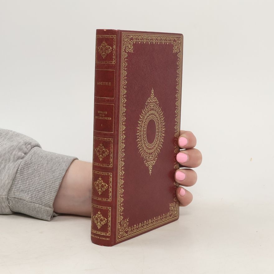 Johann Wolfgang von Goethe Romane und Erzählungen 3