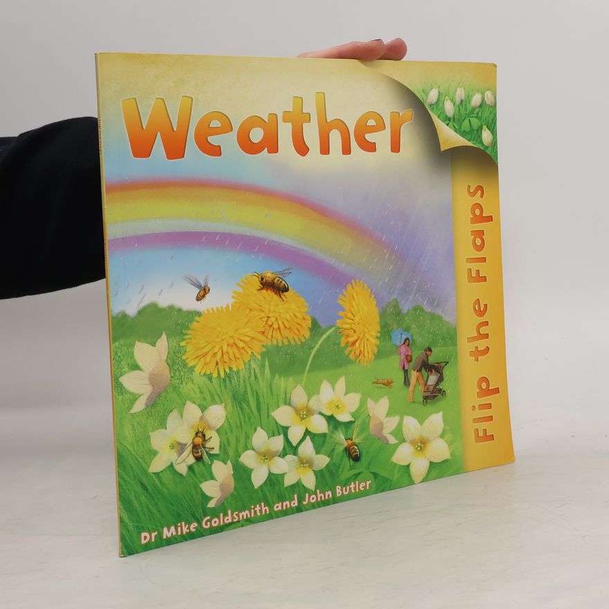 Mike Goldsmith Flip the Flaps. Weather