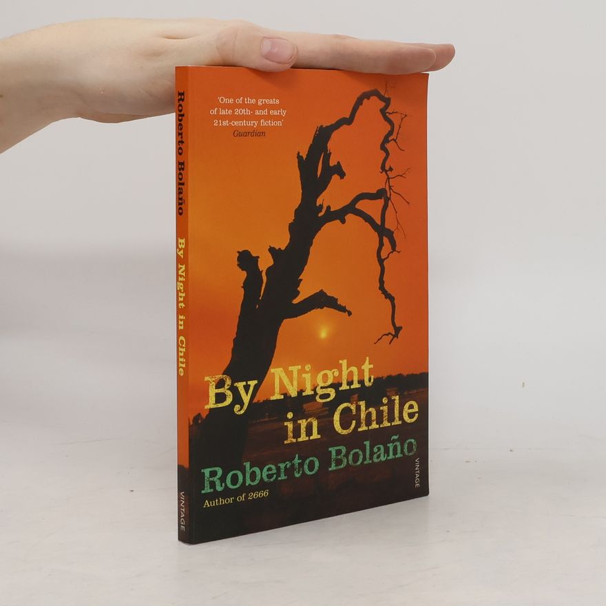 Roberto Bolaňo By Night In Chile