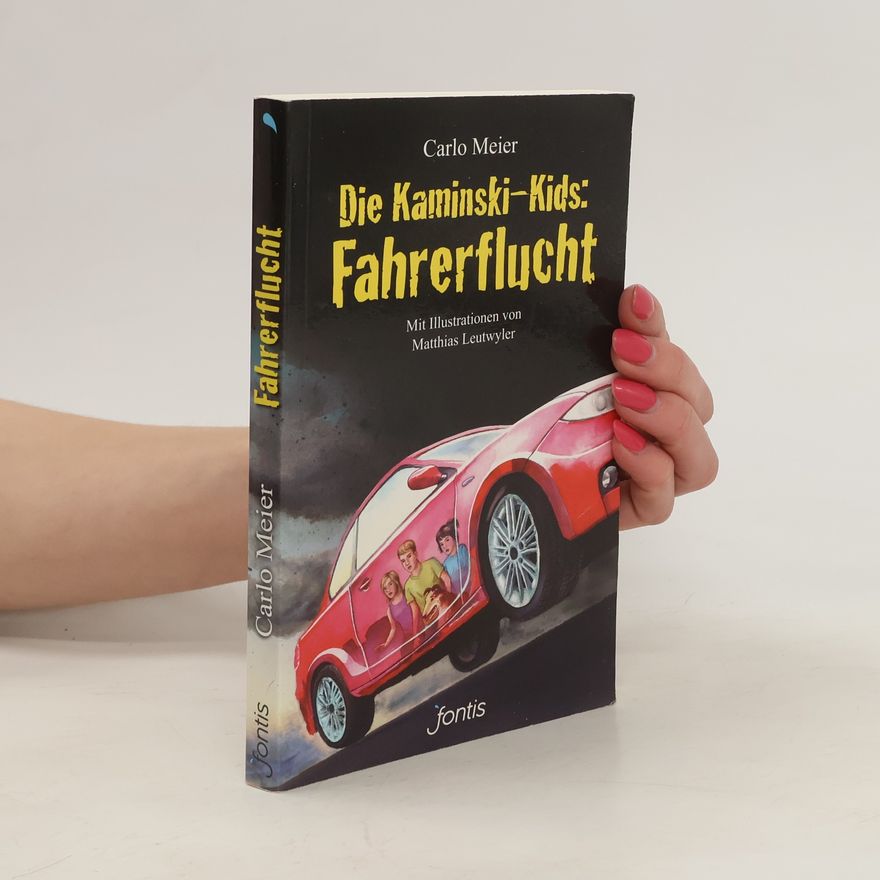 Carlo Meier Fahrerflucht