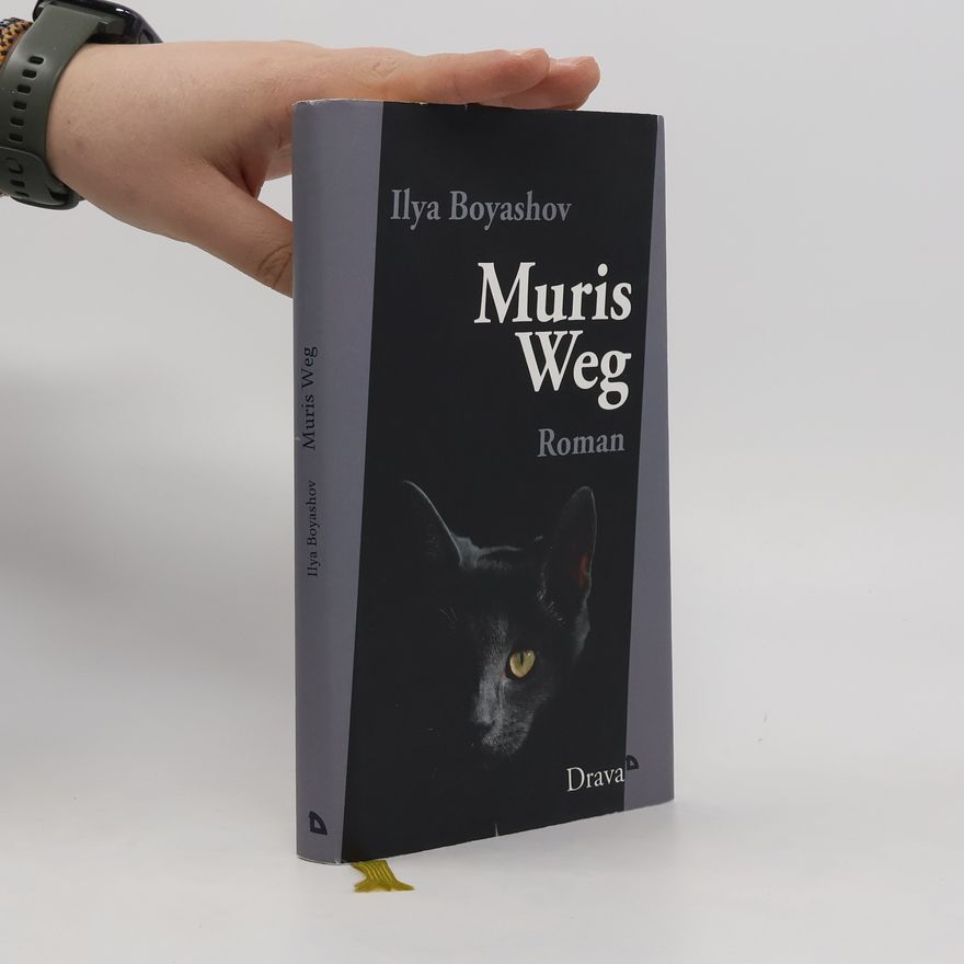 Ilʹja Bojas ov Muris Weg