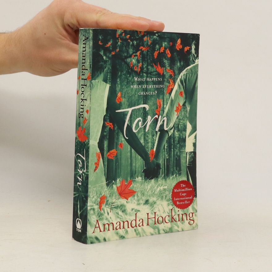 Amanda Hocking Torn