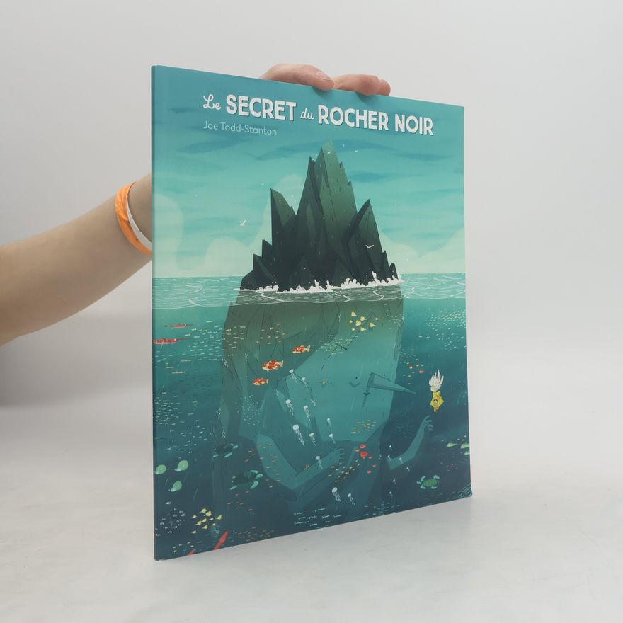 Joe Todd-Stanton Le secret du Rocher Noir