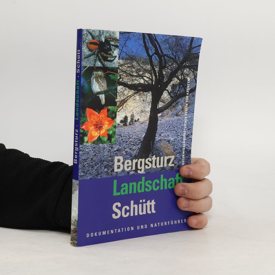 Autorenkollektiv Bergsturz Landschaft Schütt