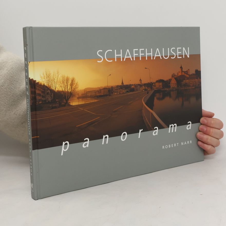 Robert Narr Schaffhausen-Panorama