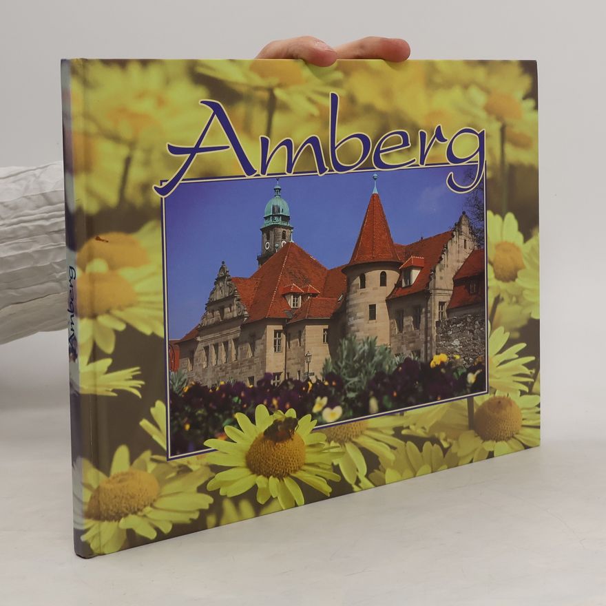Kolektív autorov Amberg