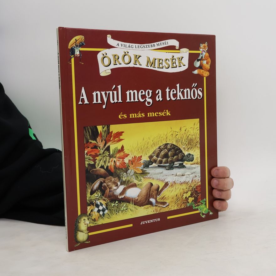 Collectif d'auteurs A nyúl meg a teknös és más mesék