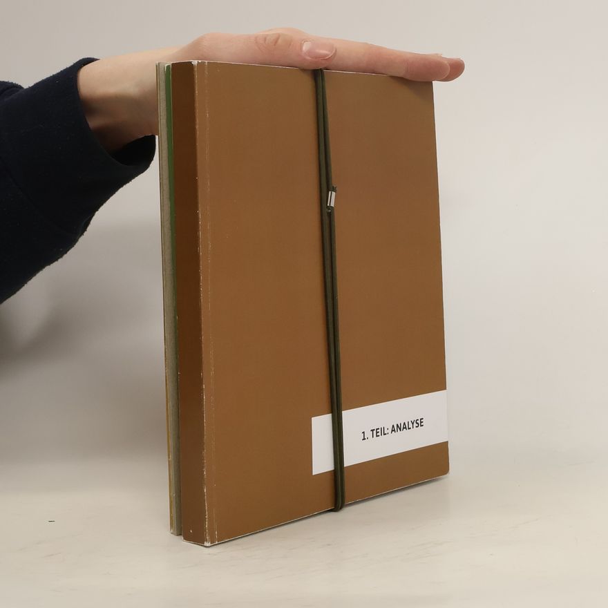 Kolektiv autorů Design-Build Projekte 1-3