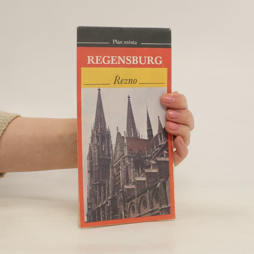 Autorenkollektiv Regensburg / Řezno - plán města