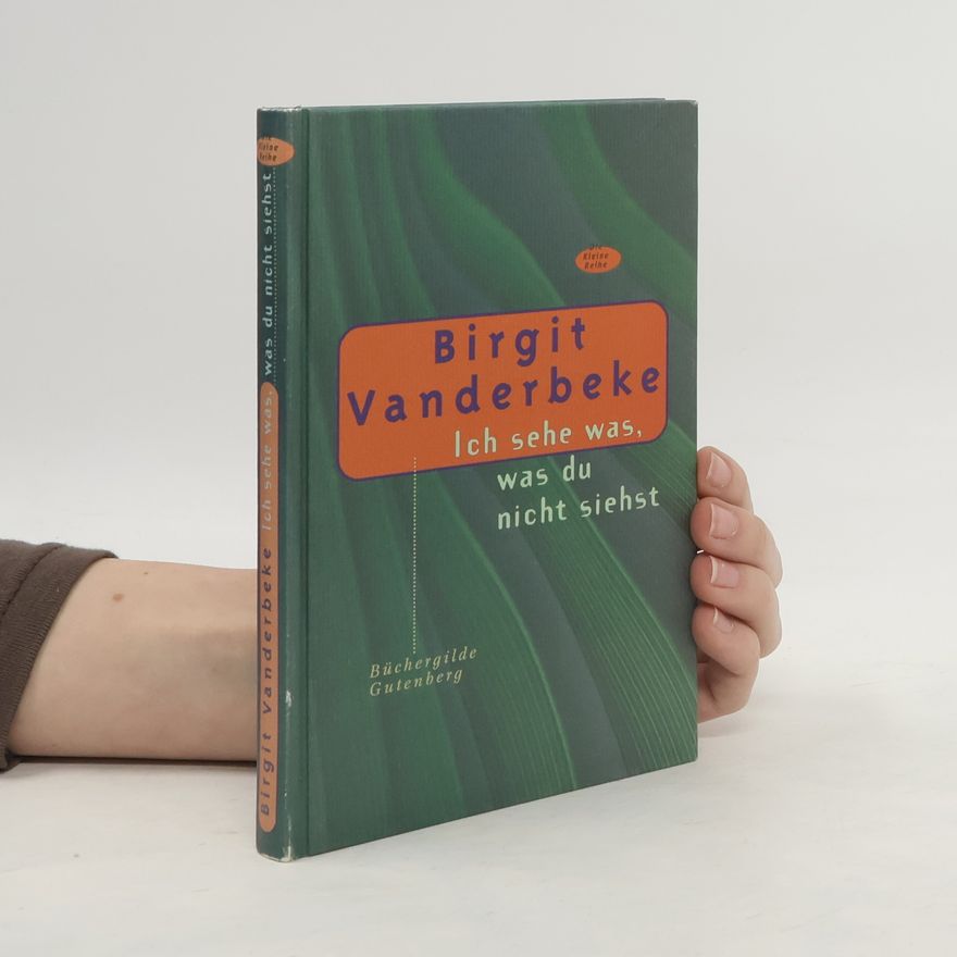 Birgit Vanderbeke Ich sehe was, was du nicht siehst