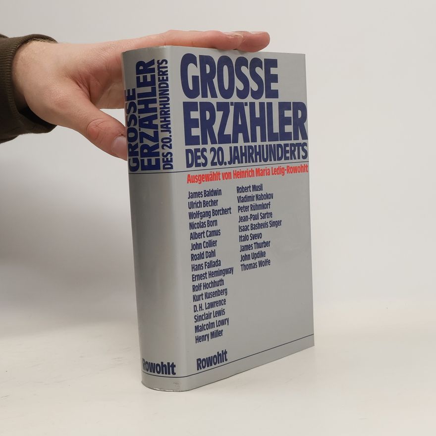 AA.VV. Große Erzähler des 20. Jahrhunderts