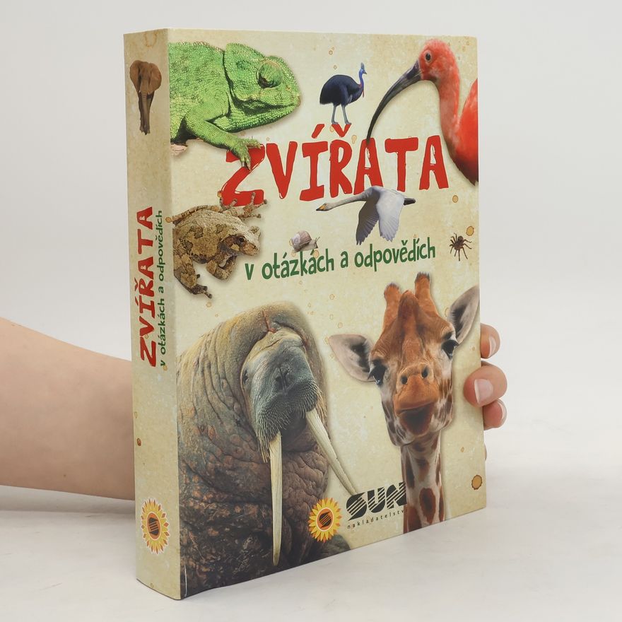 Irene Ceruti Zvířata v otázkách a odpovědích