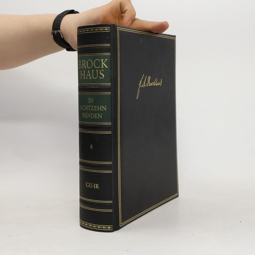 F. A. Brockhaus Brockhaus deutsches Wörterbuch 6