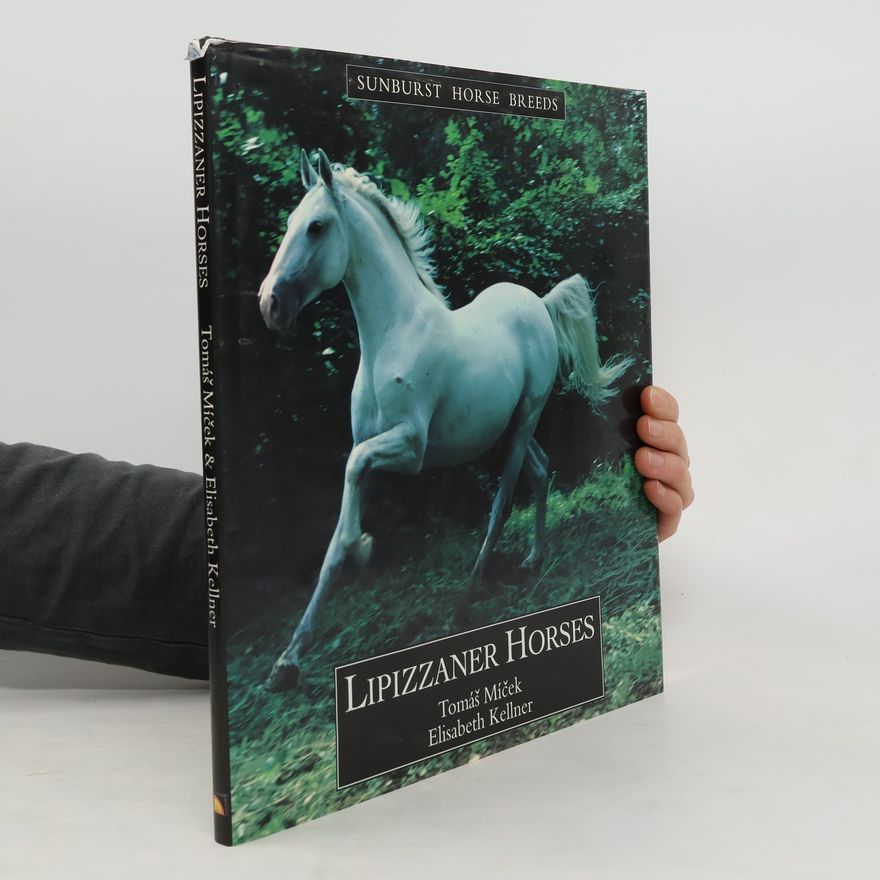 Tomáš Míček Lipizzaner Horses