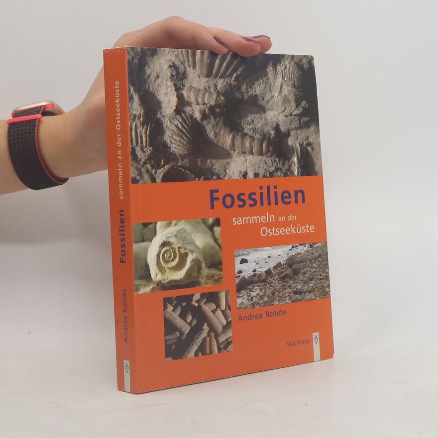 Andrea Rohde Fossilien sammeln an der Ostseeküste