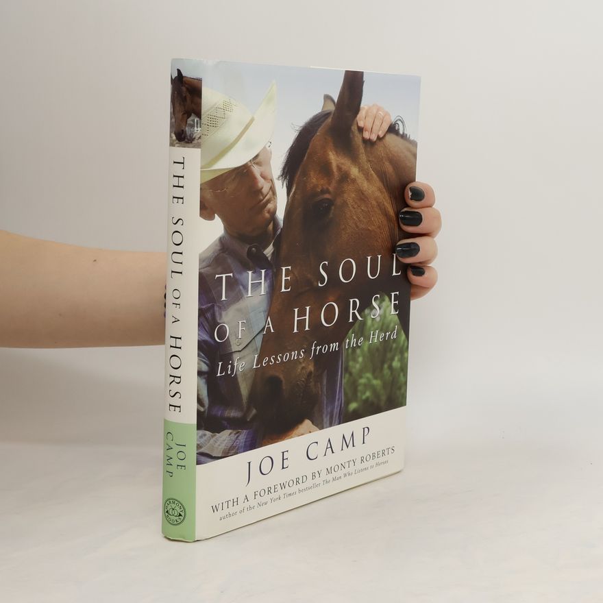Joe Camp The soul of a horse