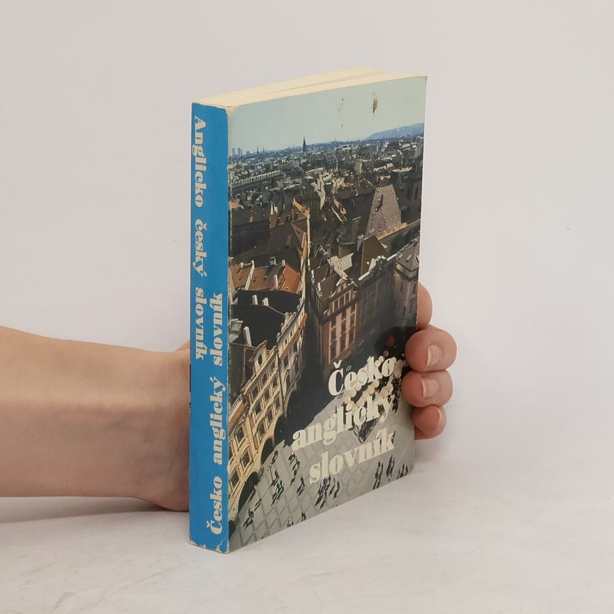Autorenkollektiv Česko-anglický slovník