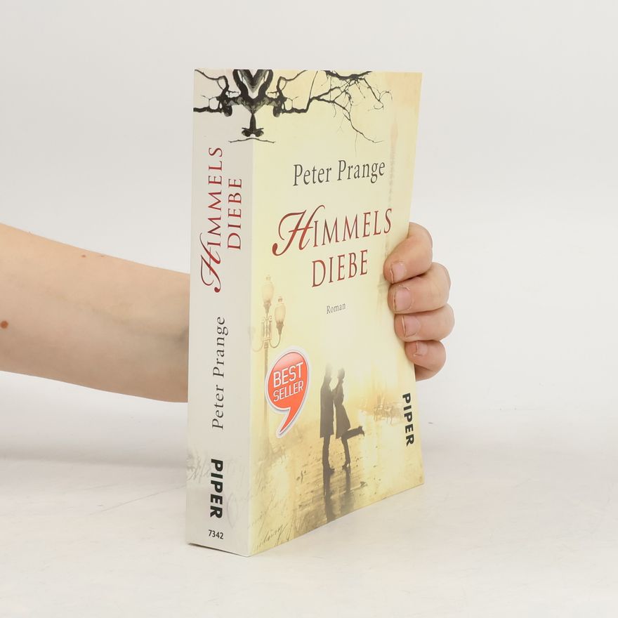 Peter Prange Himmels Diebe