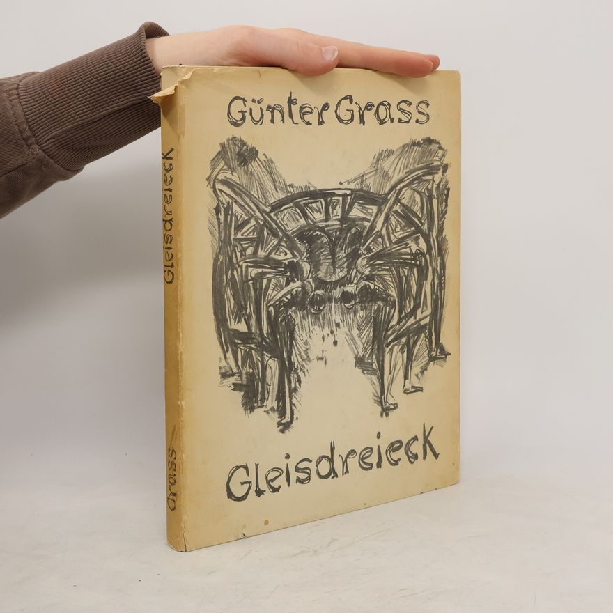 Autorenkollektiv Günter Grass Gleisdreieck