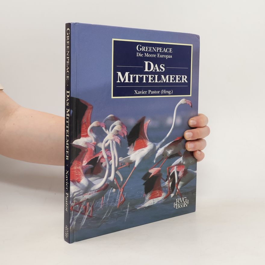 Xavier Pastor Das Mittelmeer
