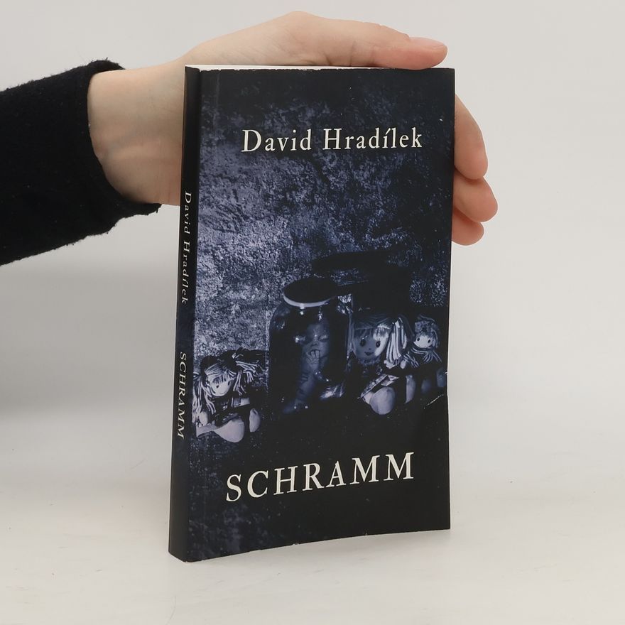 David Hradílek Schramm