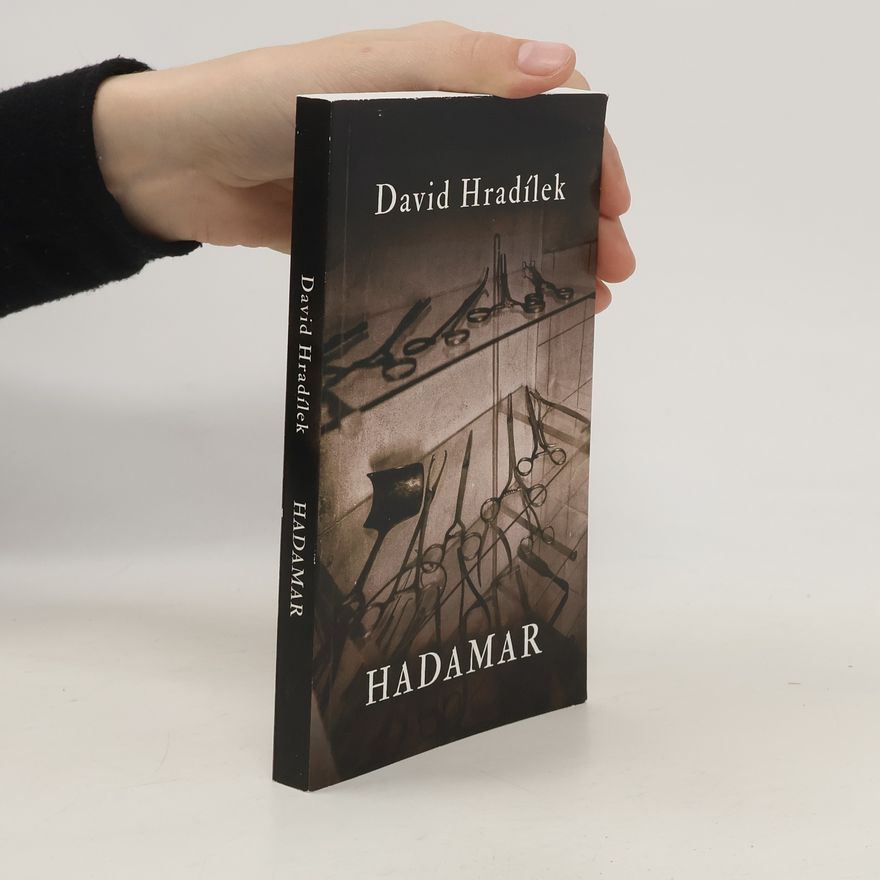 David Hradílek Hadamar