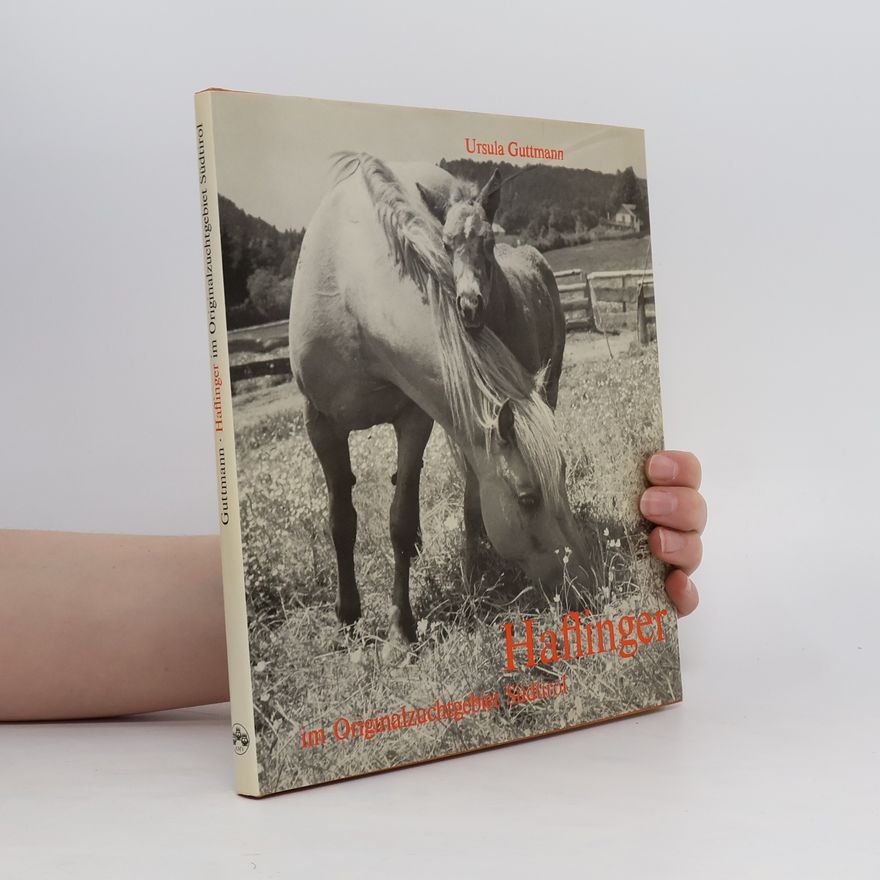 Ursula Guttmann Haflinger im Originalzuchtgebiet Südtirol