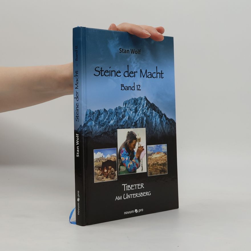 Stan Wolf Steine der Macht - Band 12