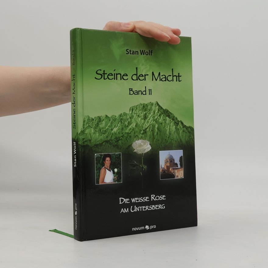 Stan Wolf Steine der Macht – Band 11