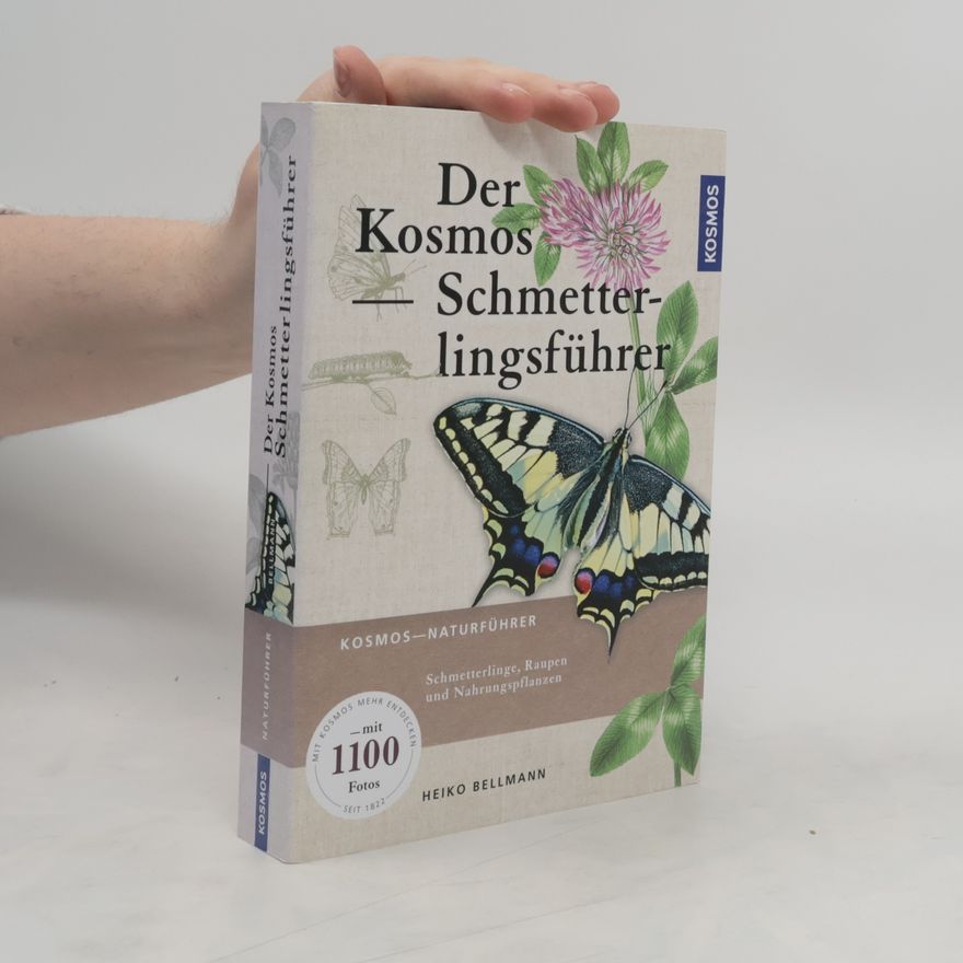 Heiko Bellmann Der Kosmos Schmetterlingsführer