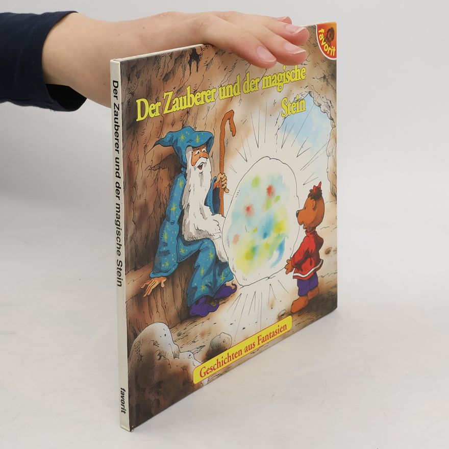 Autorenkollektiv Der Zauberer und der magische Stein