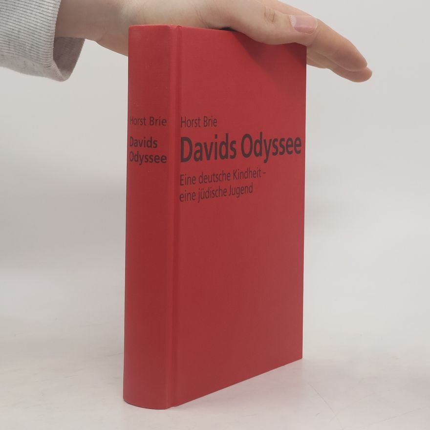 Horst Brie Davids Odyssee